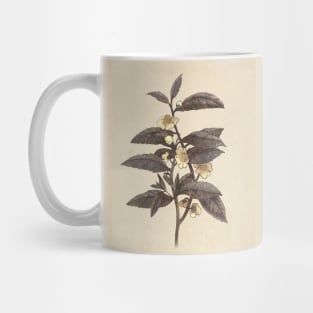 Late Bloom Mug